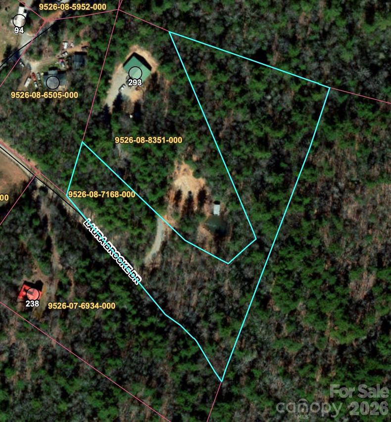 99999 Laura Brooke Dr., Penrose, NC 28766