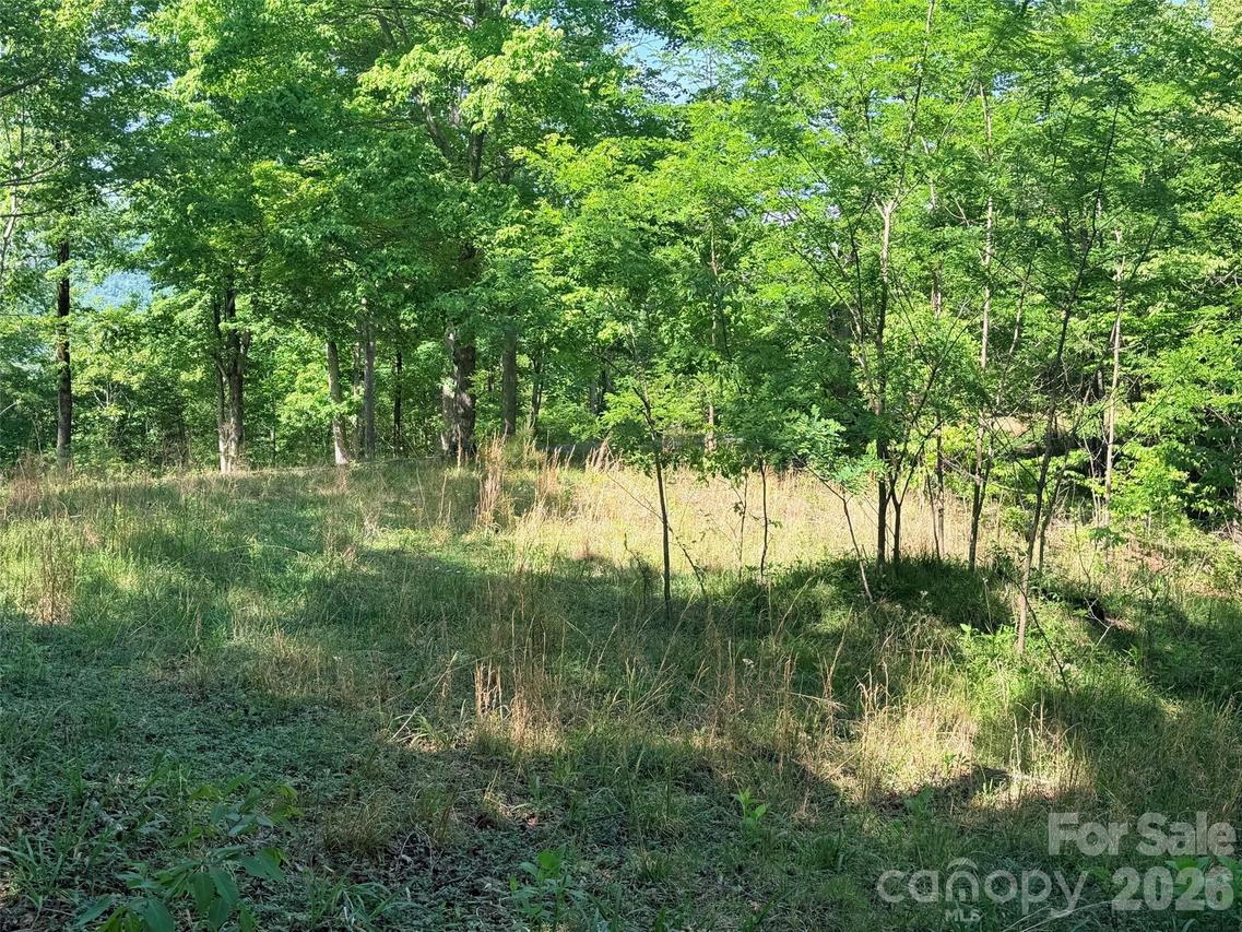 Lot 8 High Rock Ridge, Lake Lure, NC 28746