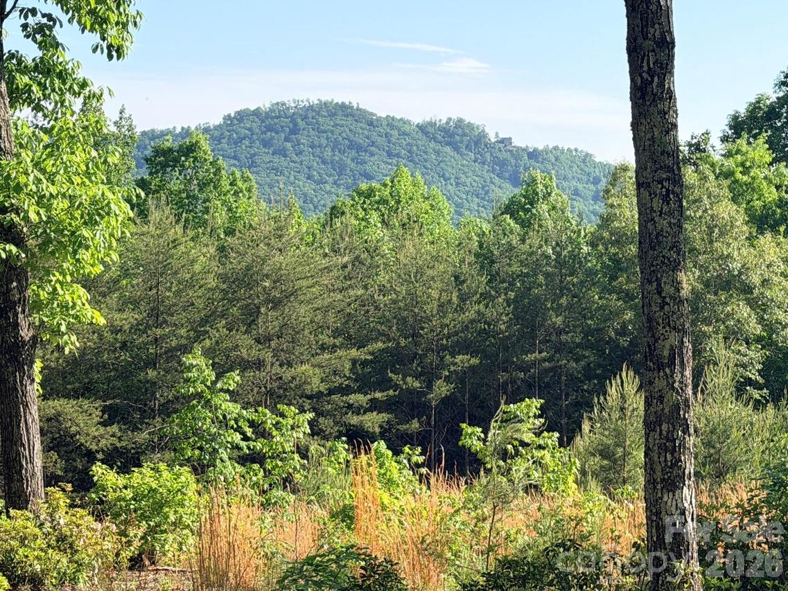 Lot 11 Brookside Pkwy., Lake Lure, NC 28746