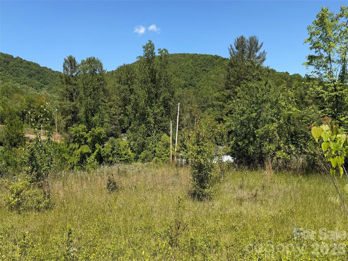 99999 S Morgan Branch Rd., Candler, NC 28715