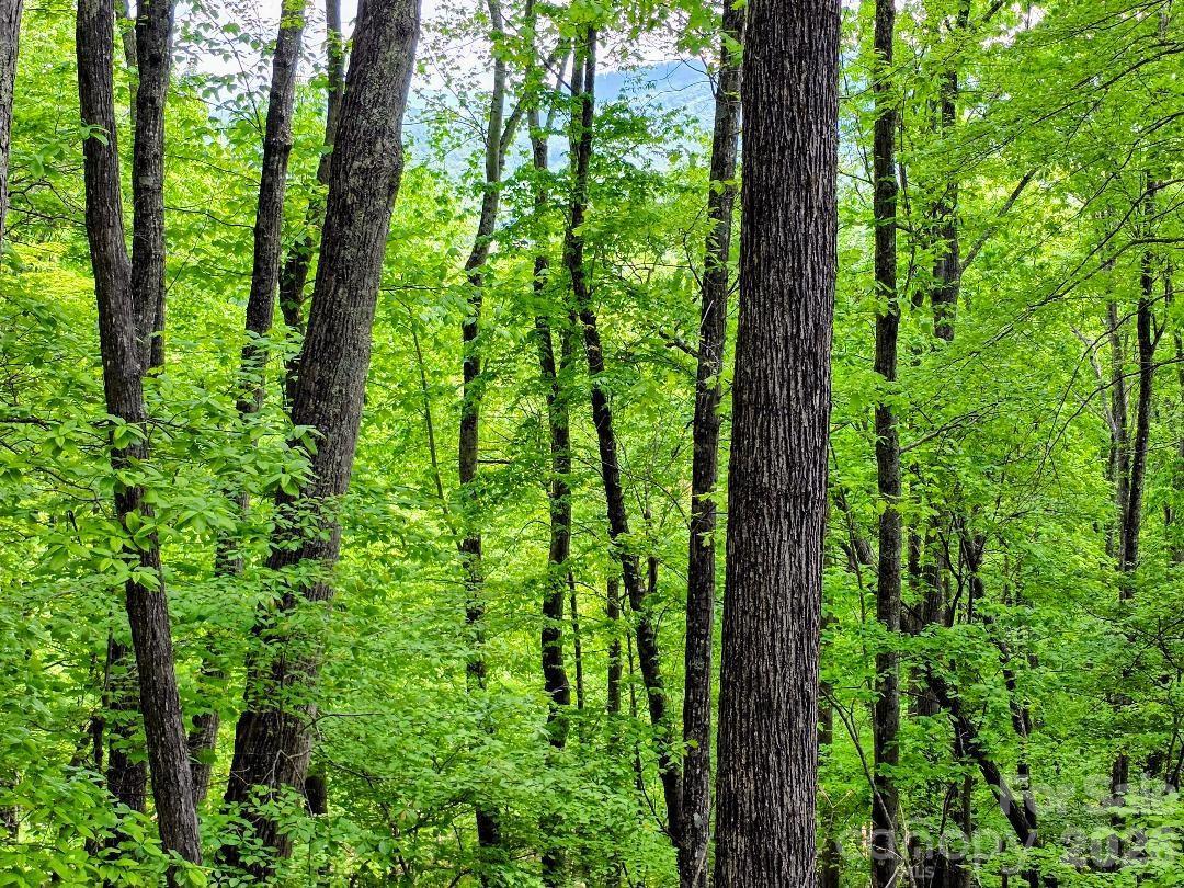00 Hickory Springs Rd. #12, Burnsville, NC 28714