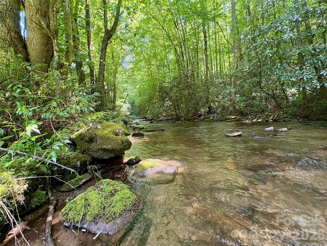 1140 Alarka Rd. #48, Bryson City, NC 28713