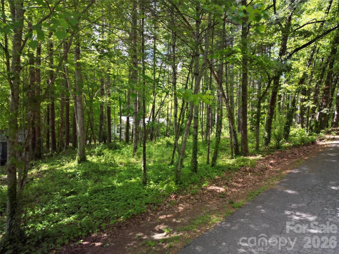 164 Country Ln., Brevard, NC 28712