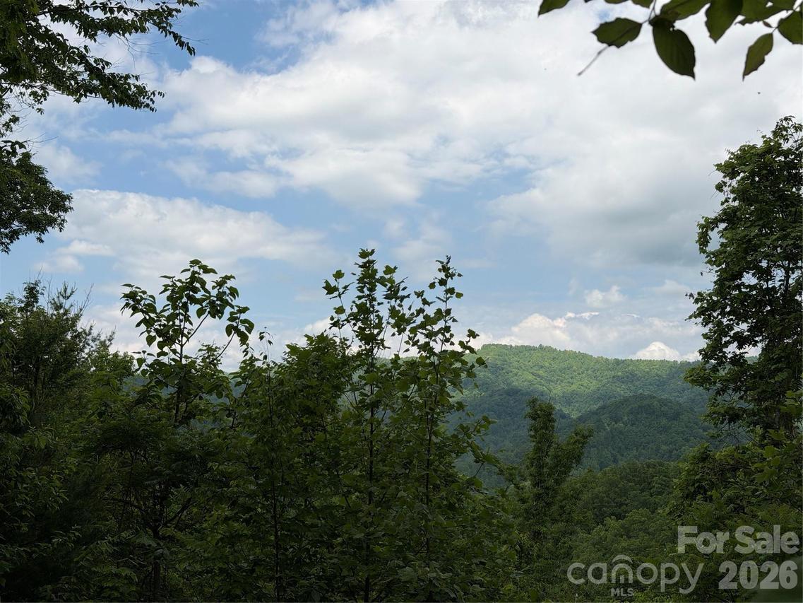 408 Arvil Gosnell Rd., Marshall, NC 28753