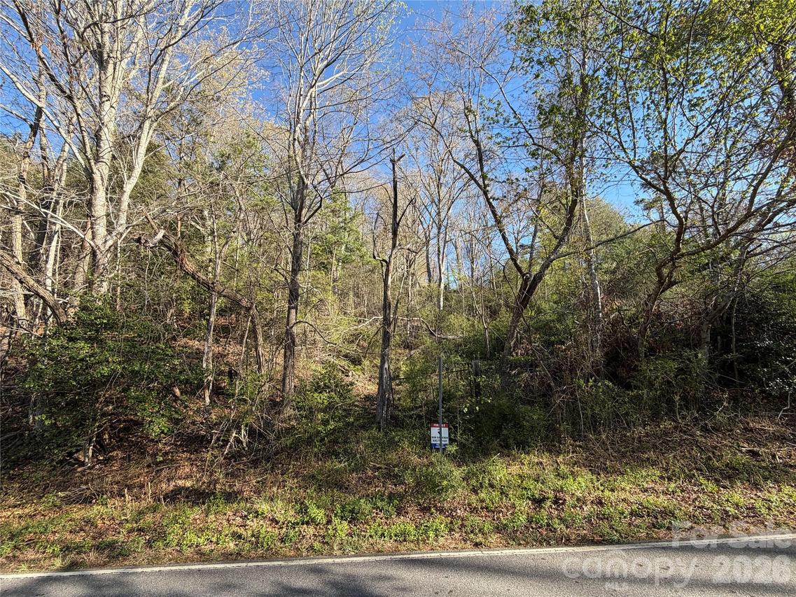 219 Bee Ridge Rd., Asheville, NC 28803