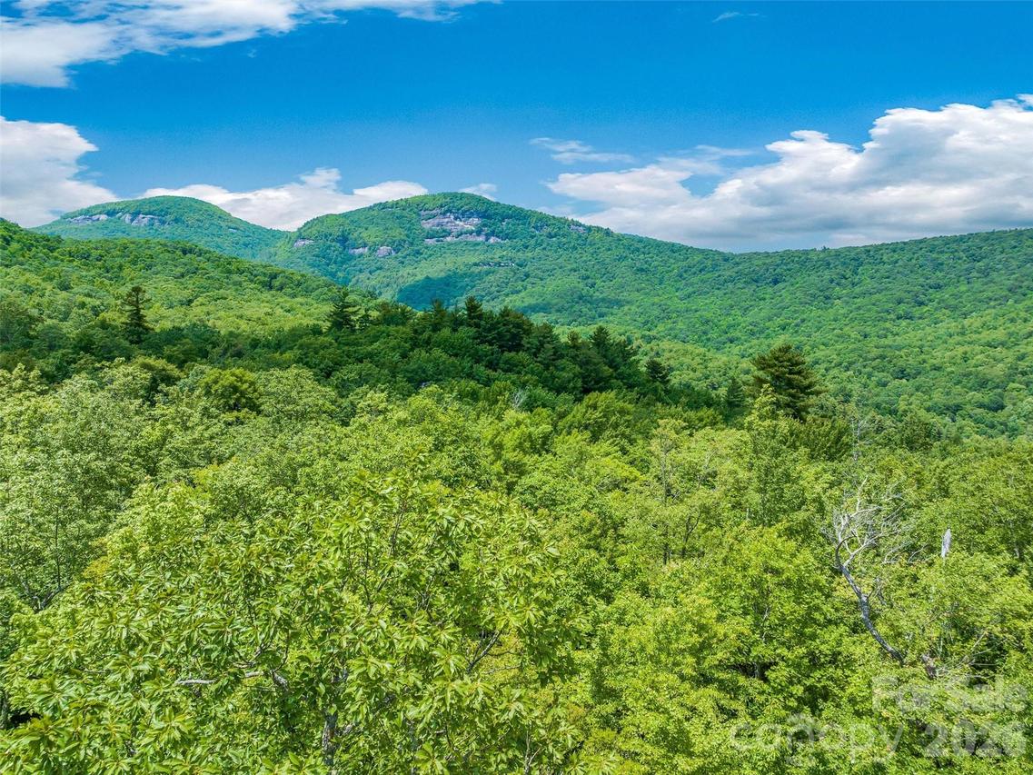 2 Cardinal Dr. #TRP 2, Lake Toxaway, NC 28747
