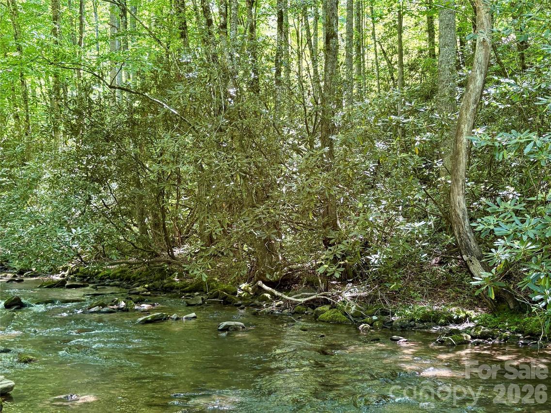 Timber Estates Rd. #11, Bryson City, NC 28713