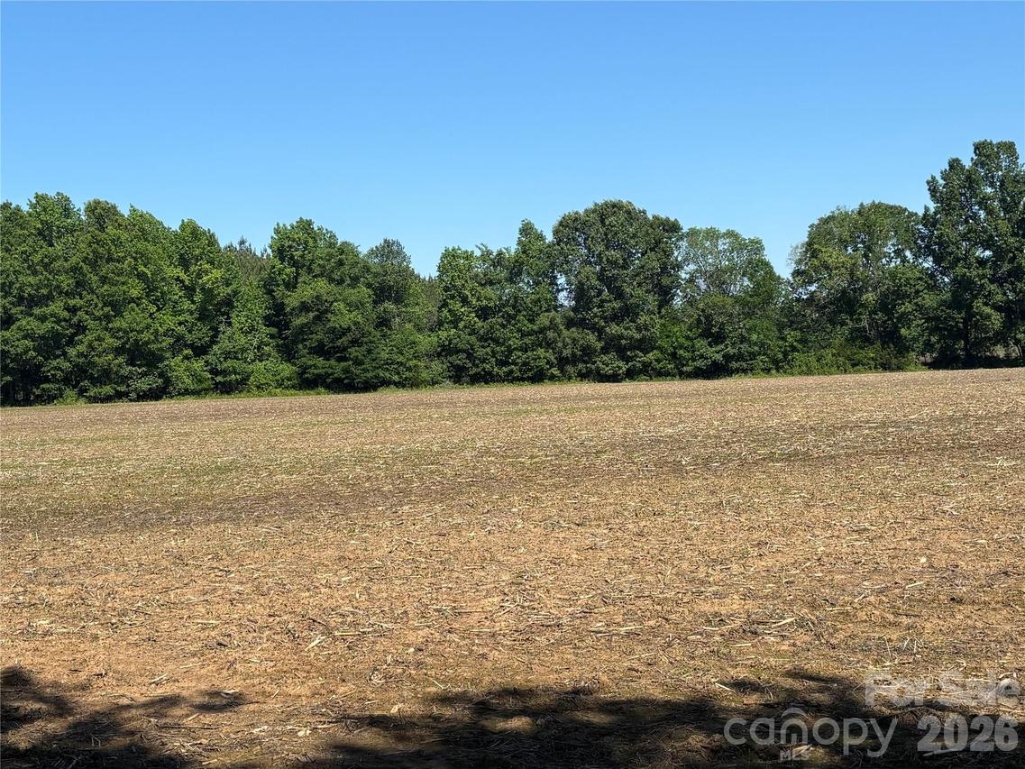 00 White Store Rd., Peachland, NC 28133
