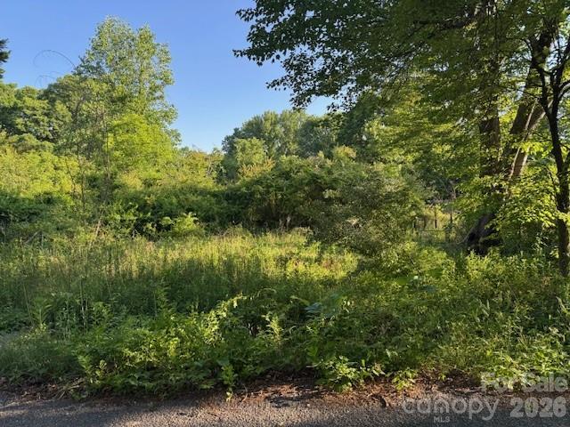 202 Dundee St., Hendersonville, NC 28791