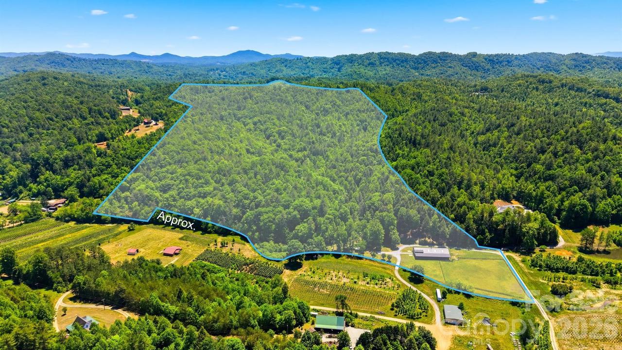 81 +/- Acres 2967 Roby Martin Rd., Lenoir, NC 28645