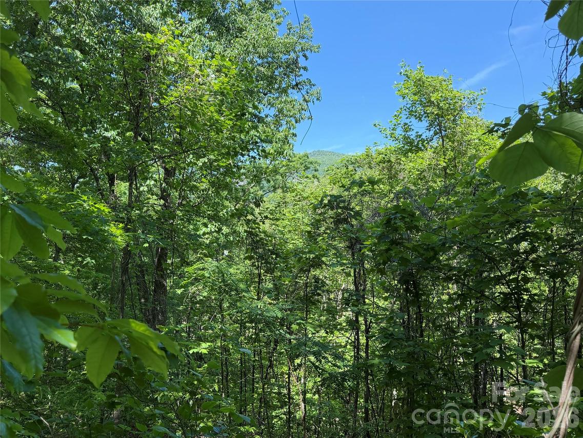 Buffalo Shoals Rd. #1, Lake Lure, NC 28746