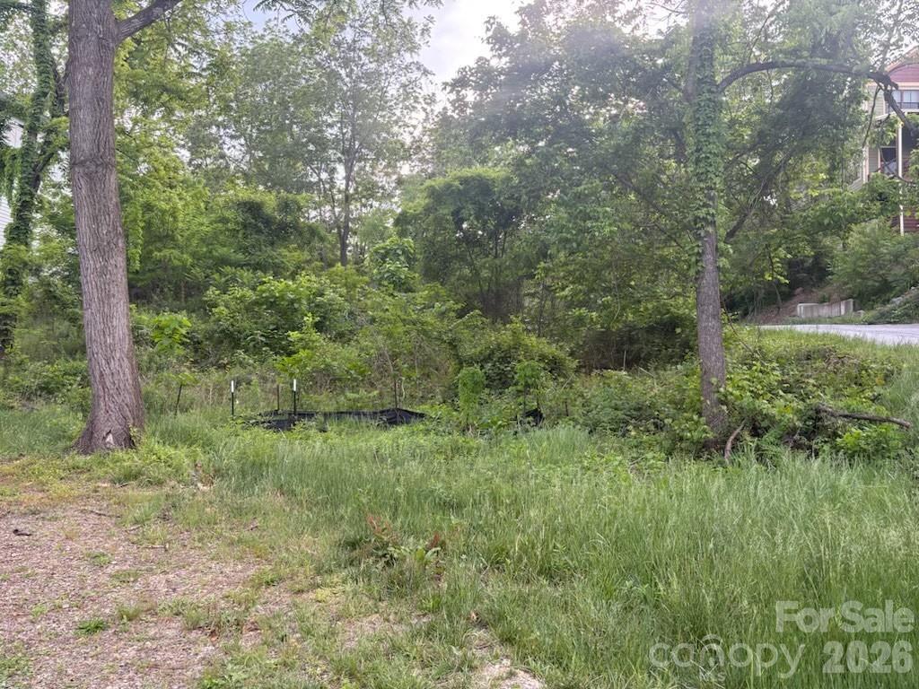 111 Waynesville Ave., Asheville, NC 28806