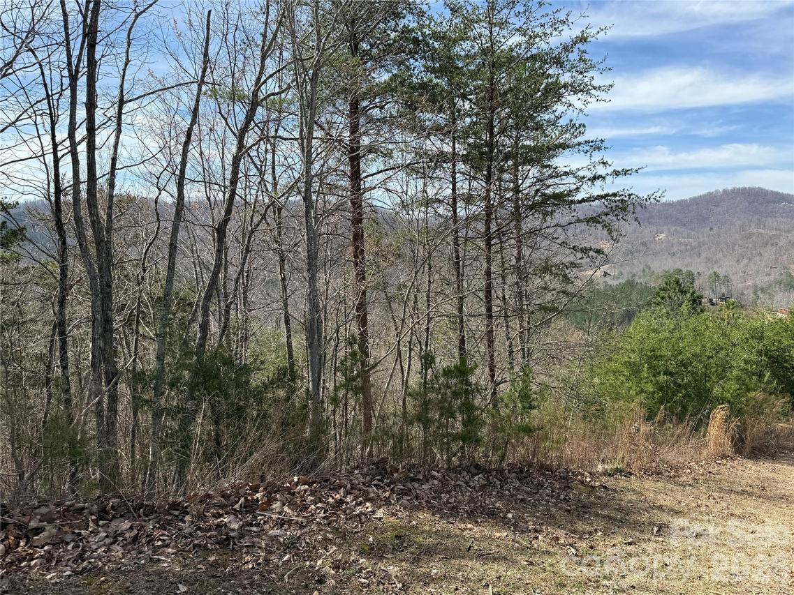 Lot 165 Pinegrove Dr. #165, Bostic, NC 28018