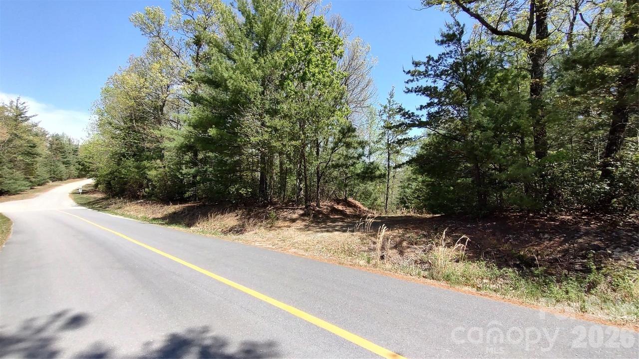 Staghorn Rd., Purlear, NC 28665
