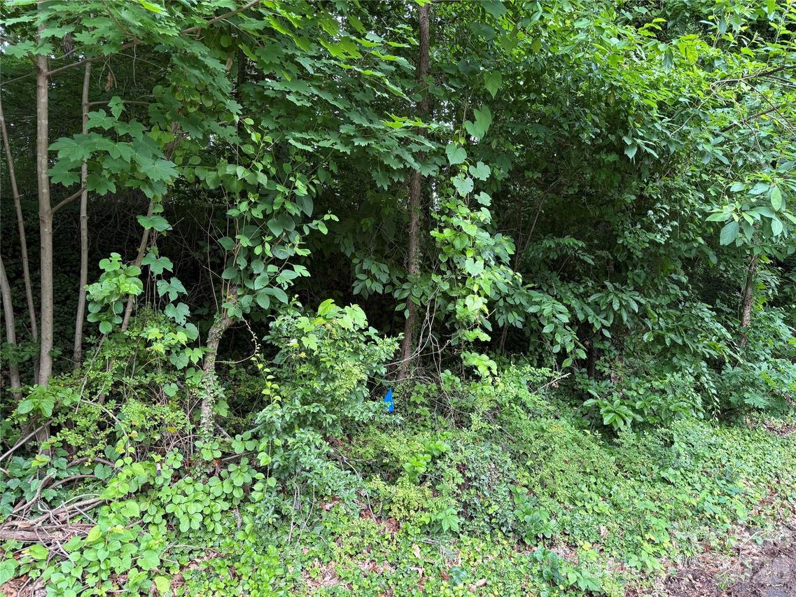 89 Iris St., Asheville, NC 28803