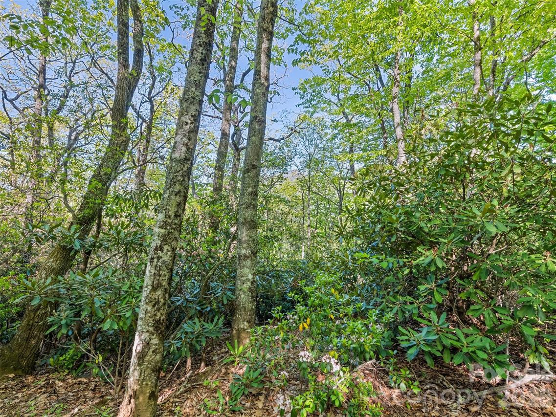 #19 Sleepy Hollow Ln., Waynesville, NC 28786