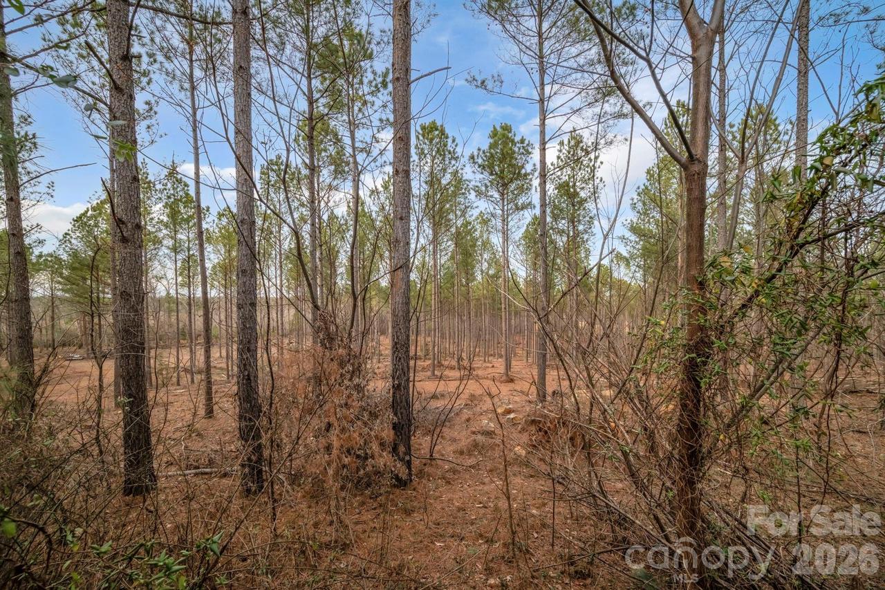 7812-A Hwy 742 Hwy., Marshville, NC 28103