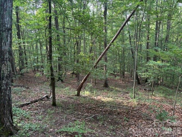 00 Cardinal Cir., Tryon, NC 28782