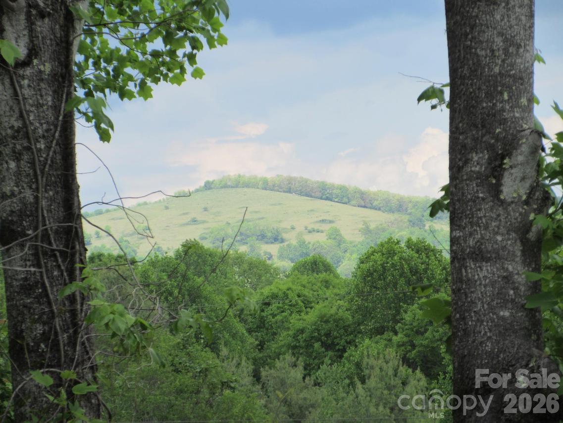 Rocky Top Tr. #4, Hot Springs, NC 28743