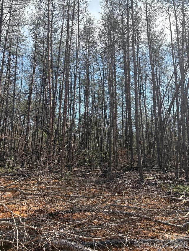 5317 Avenida De Oro Rd. #2.2, Morganton, NC 28655