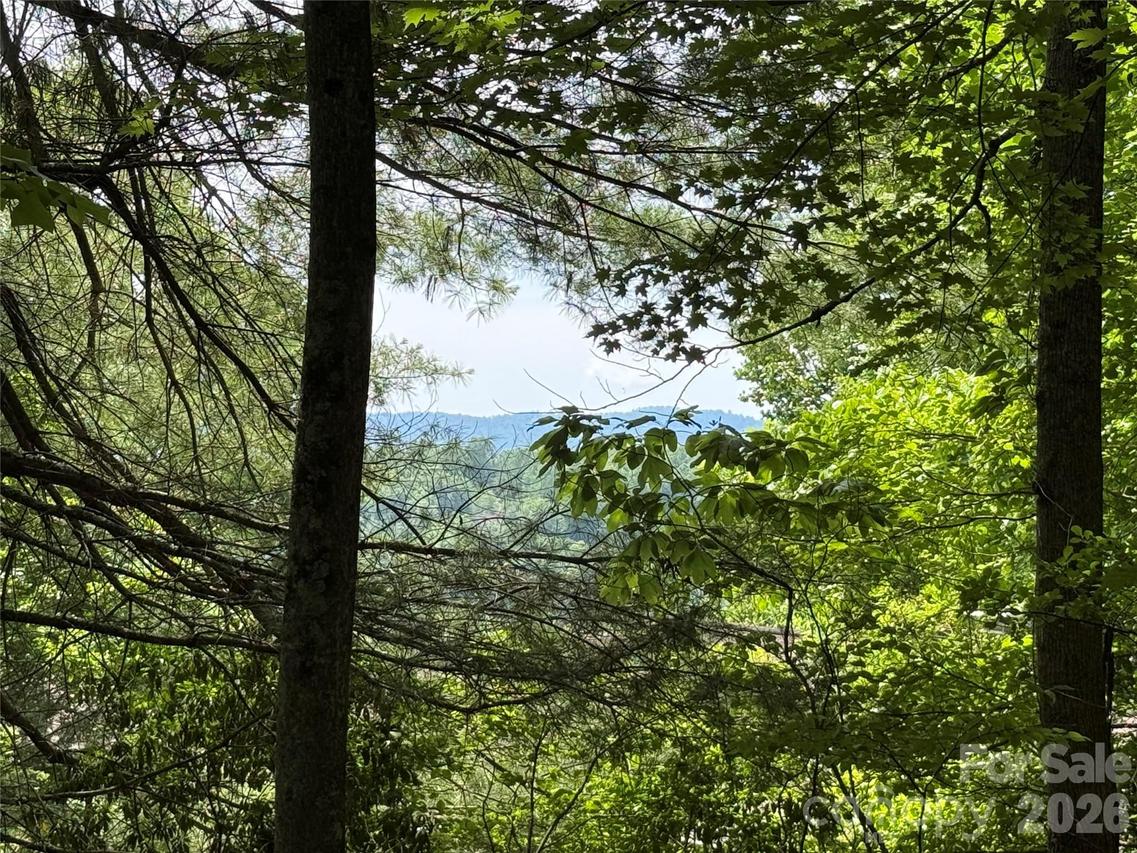 0000 Hardwood Summit Dr. #191, Hendersonville, NC 28739