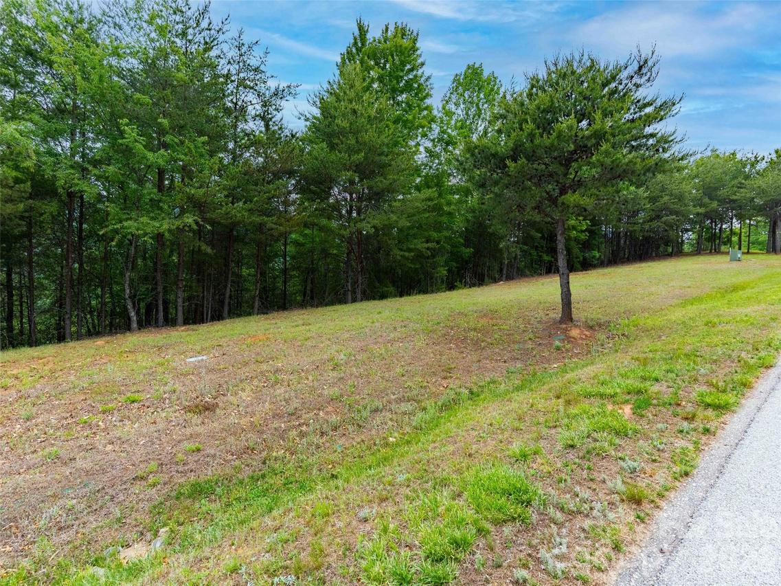 38 Deep Gap Farm Rd., Mill Spring, NC 28756