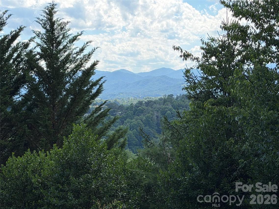 65 Buckle Ridge, Weaverville, NC 28787