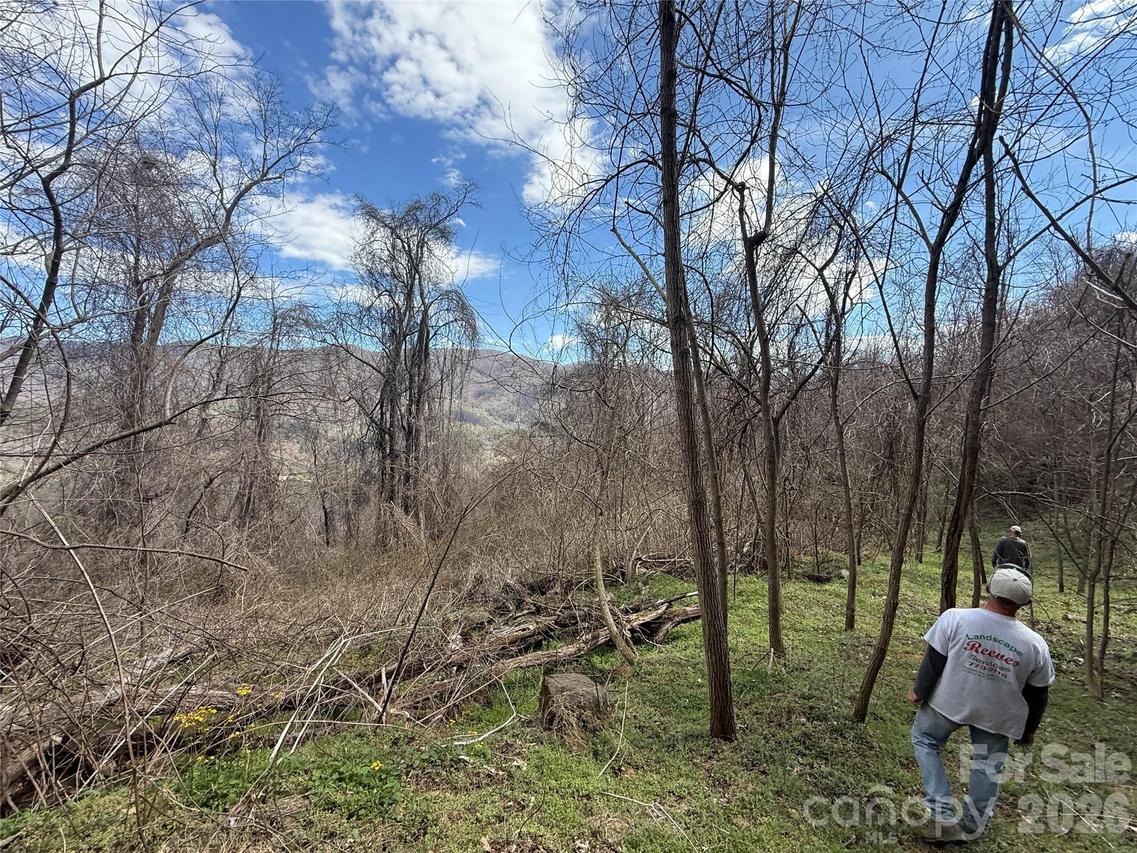 000 Caldwell Mountain Rd., Hot Springs, NC 28743