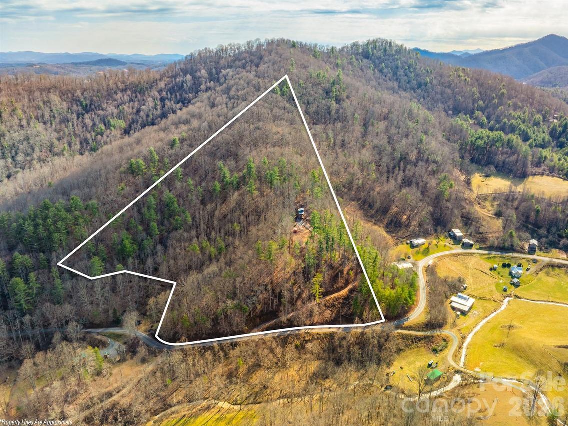2504 Upper Paw Paw Rd., Marshall, NC 28753