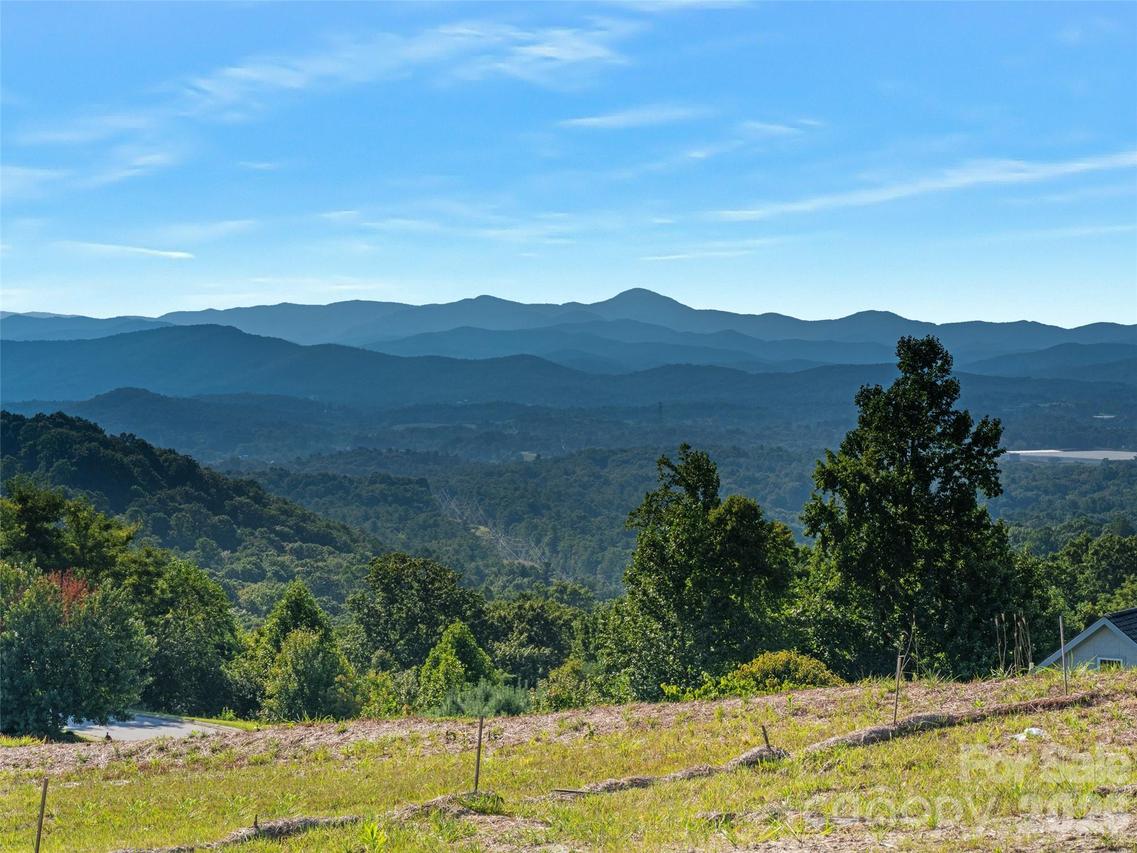 225 Coachman Dr., Hendersonville, NC 28791