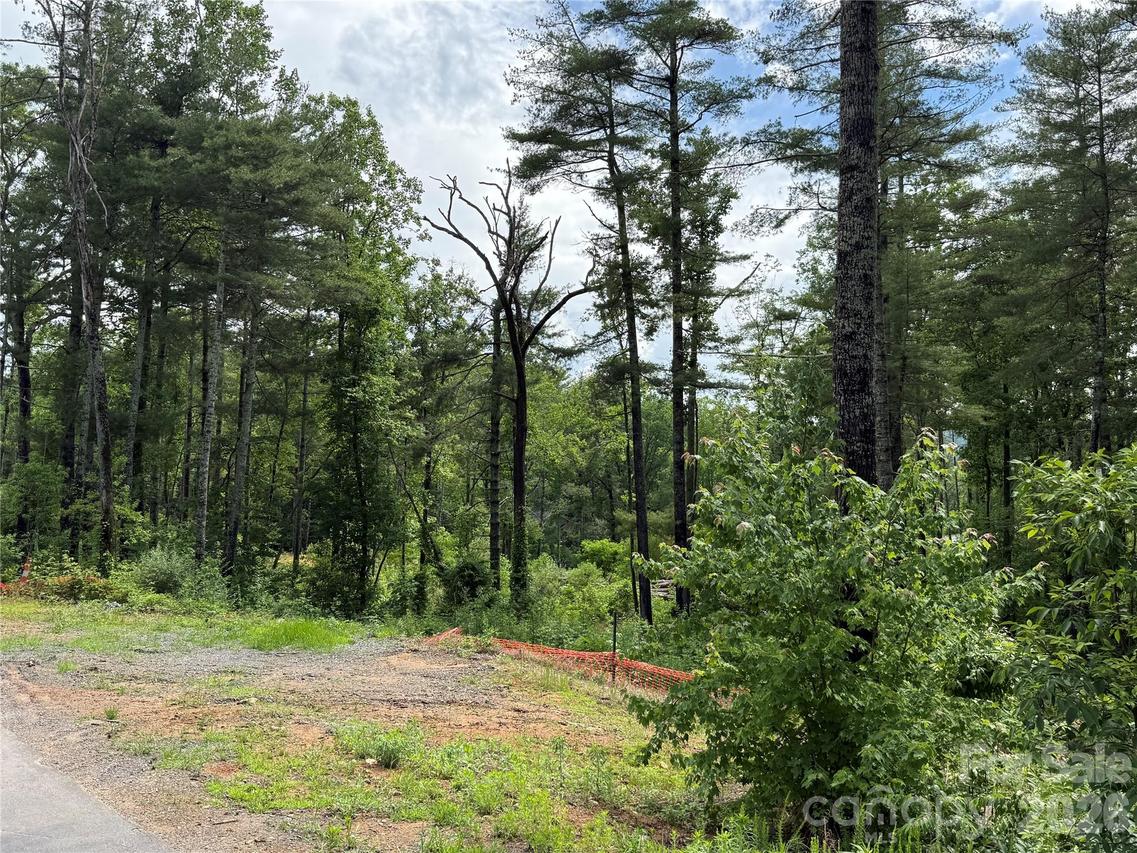 173 Cascade Ridge Rd., Fairview, NC 28730