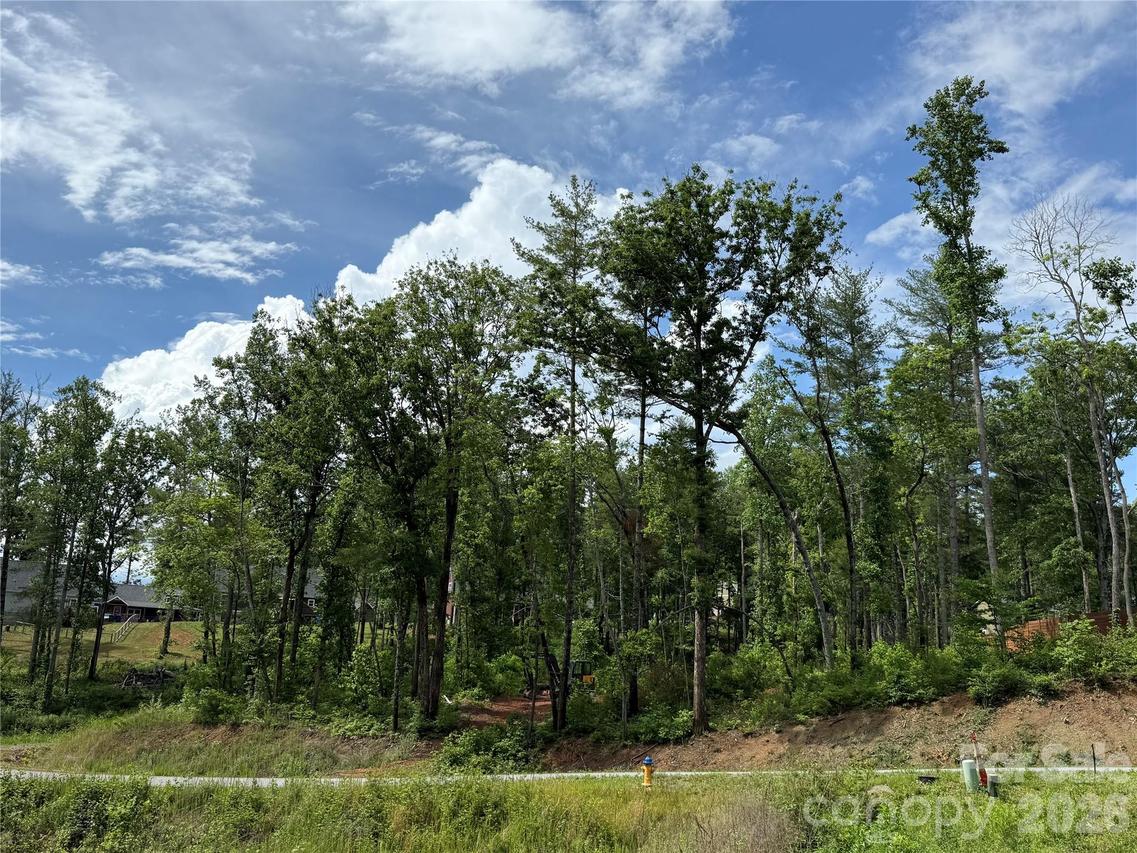 207 Cascade Ridge Rd., Fairview, NC 28730