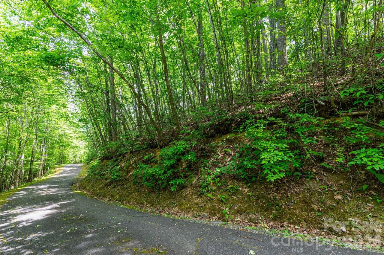 46 Widgeon Way, Whittier, NC 28789