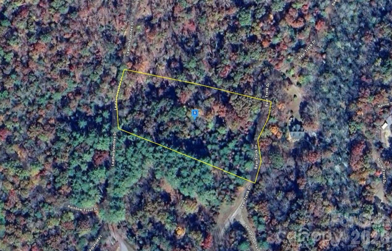 51 Bear Track Dr., Tuckasegee, NC 28783