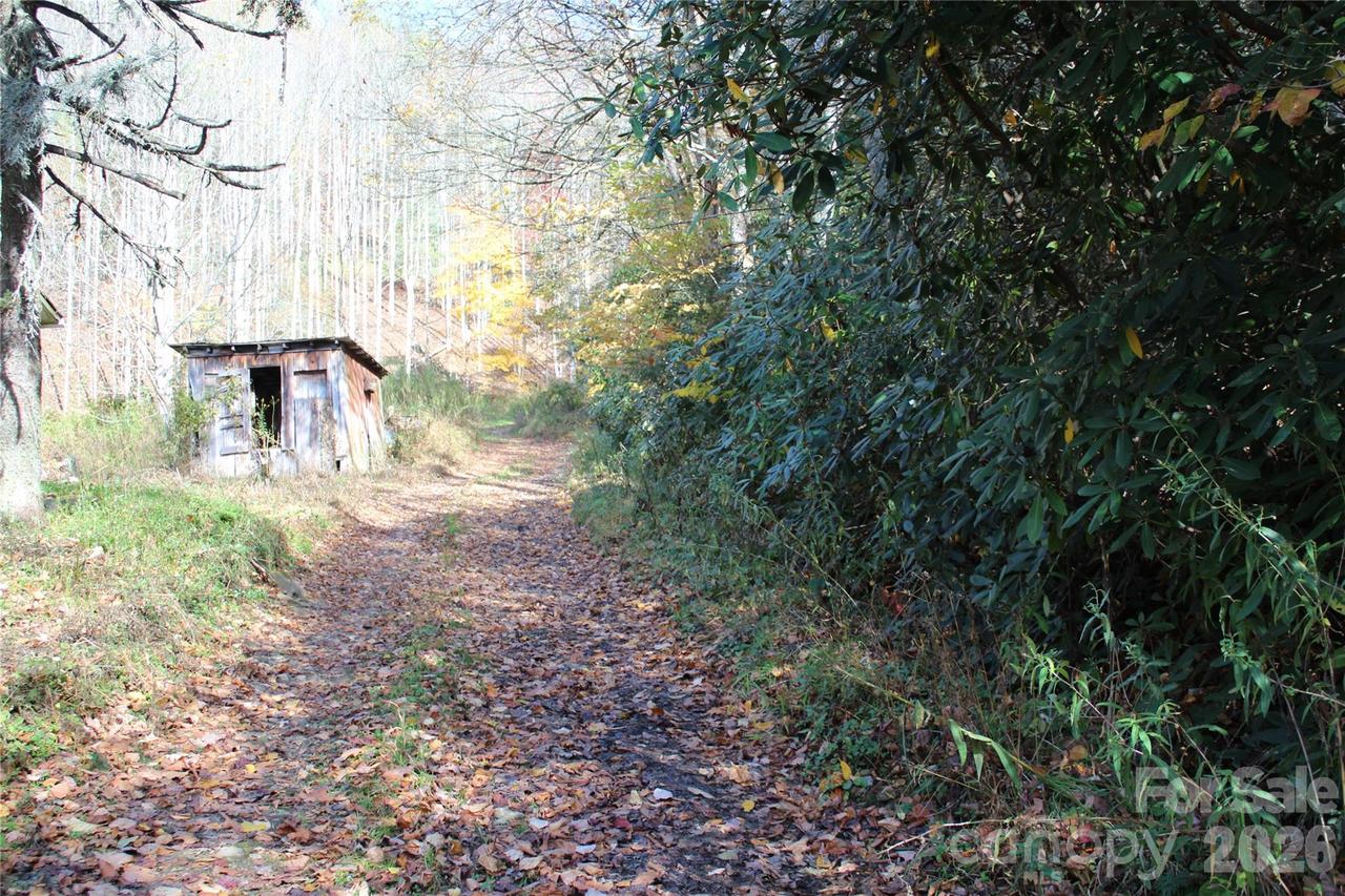 44 Toms Creek Rd., Bakersville, NC 28705