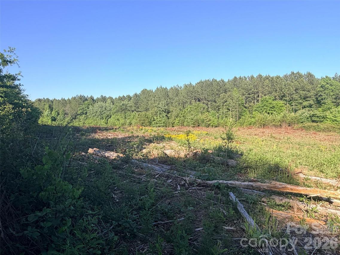 Lot 2 Doggett Grove Rd., Forest City, NC 28043