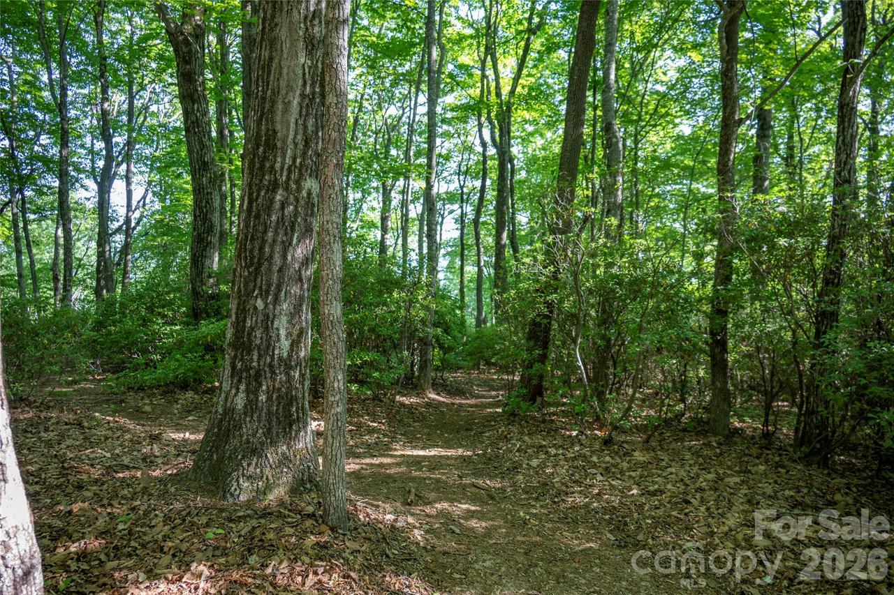 TM I 33 Toxaway Dr., Lake Toxaway, NC 28747