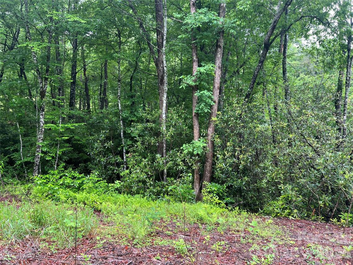 [Address Hidden by Seller], Sylva, NC 28779