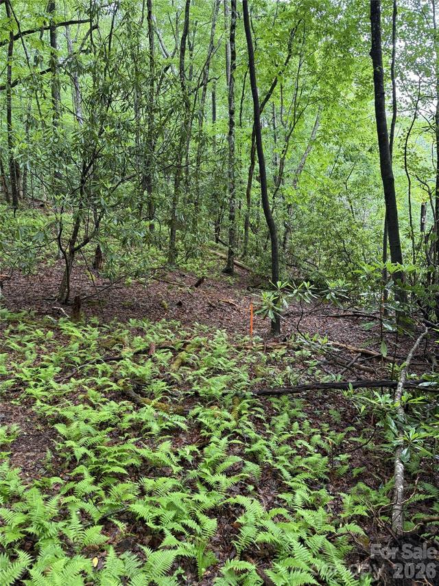 Lot 68 Cherrywood Ln., Pisgah Forest, NC 28768