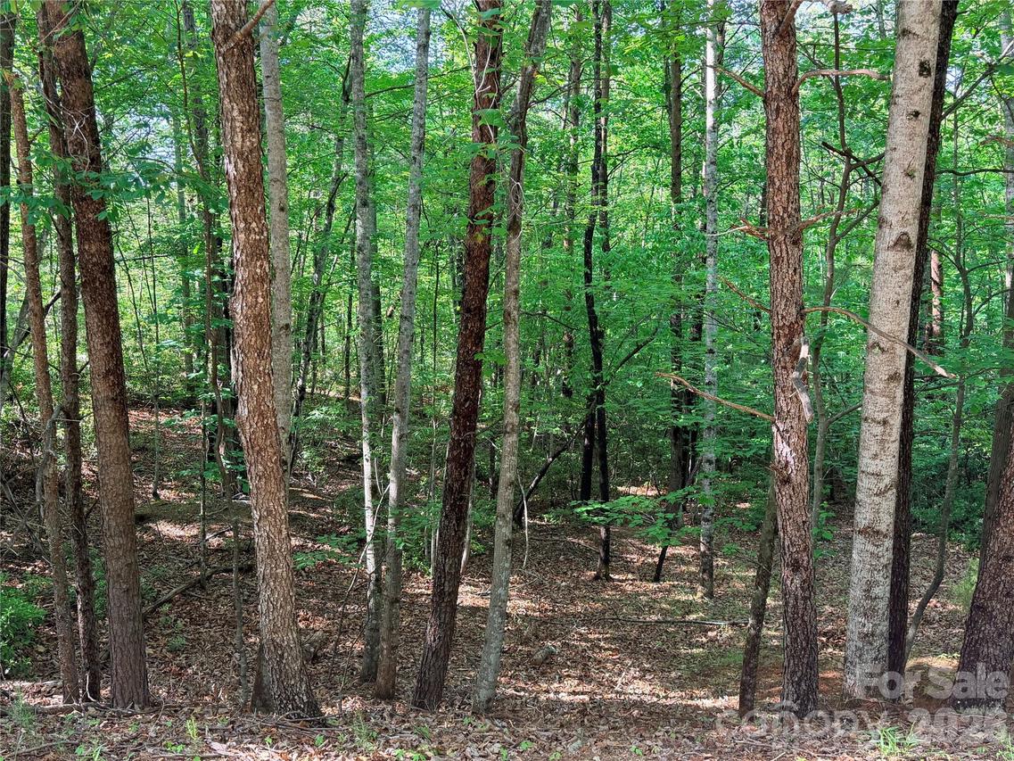 Mcdaniel Ct., Lake Lure, NC 28746