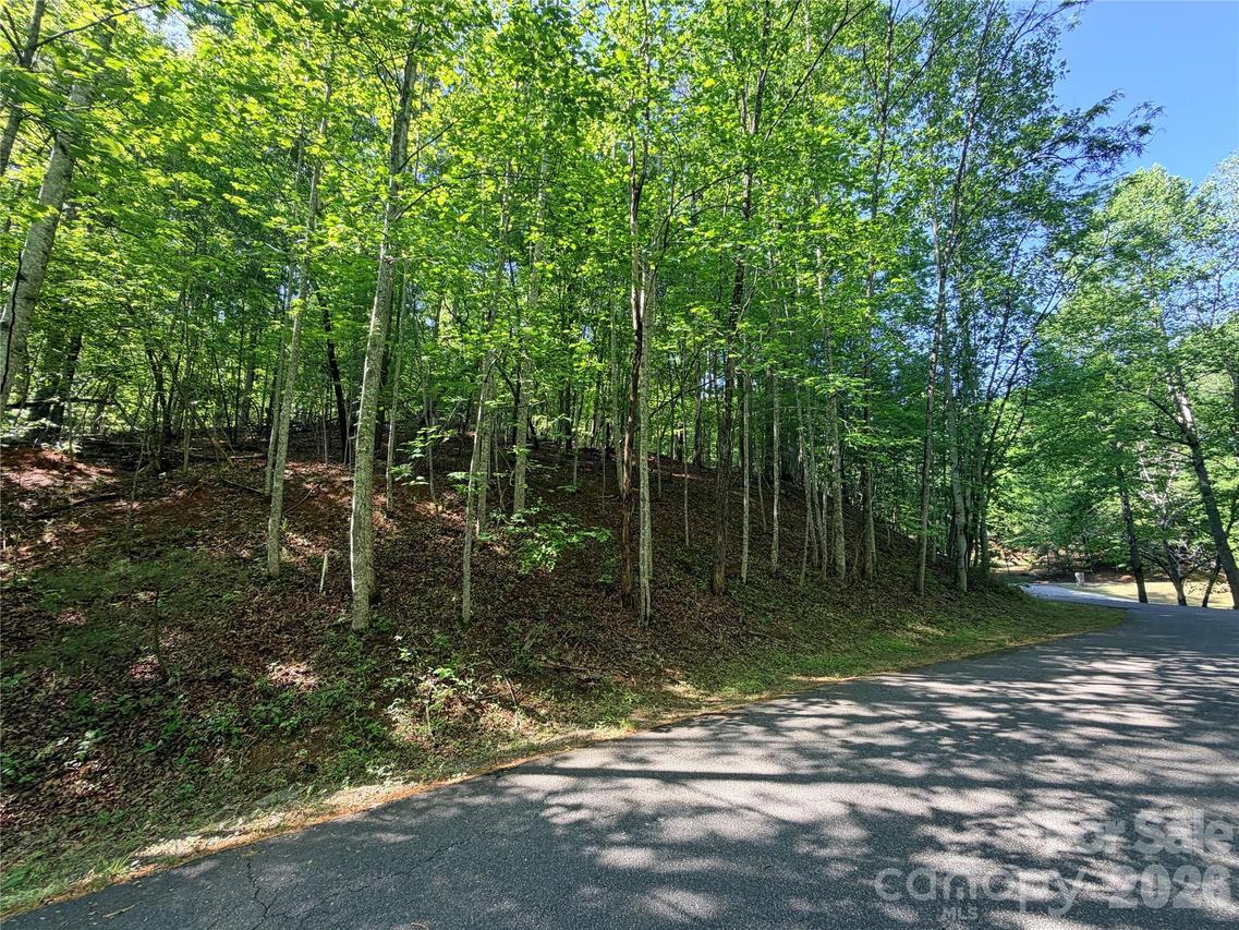 0000 Lakewood Dr., Lake Lure, NC 28746