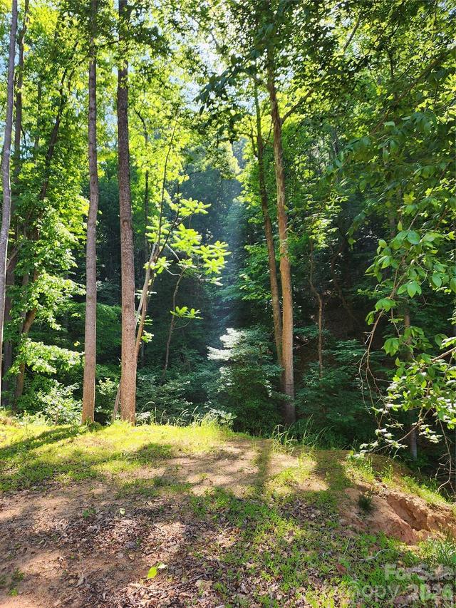 TBD Boone Gap Ln., Taylorsville, NC 28681