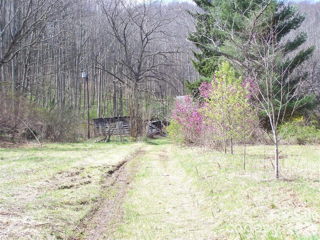 58 Collier Ln., Waynesville, NC 28786