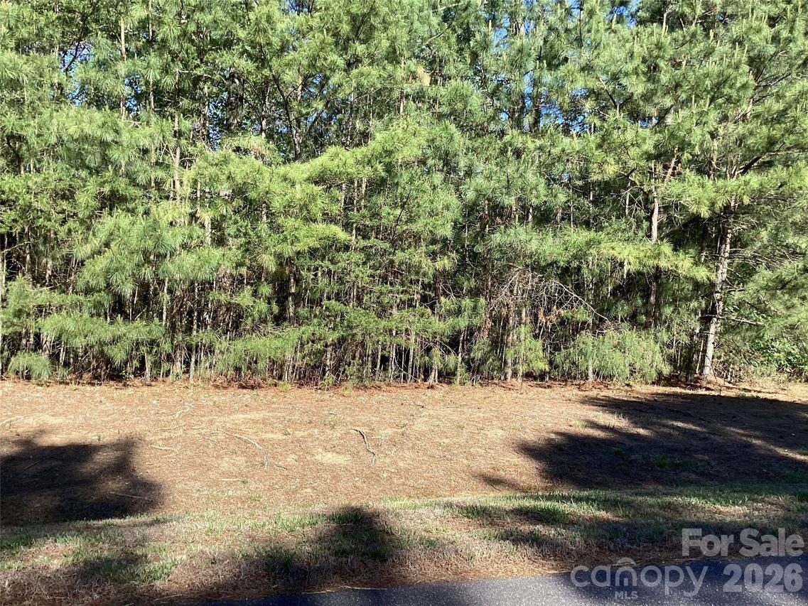 307 Twin Cove Dr. #125, Connelly Springs, NC 28612