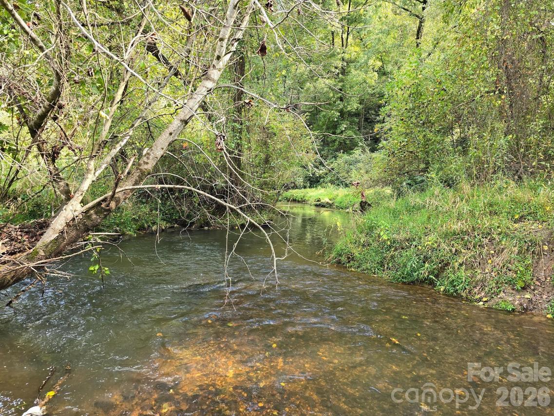 000 Cook Ln. #24.87 Acres, Mills River, NC 28759