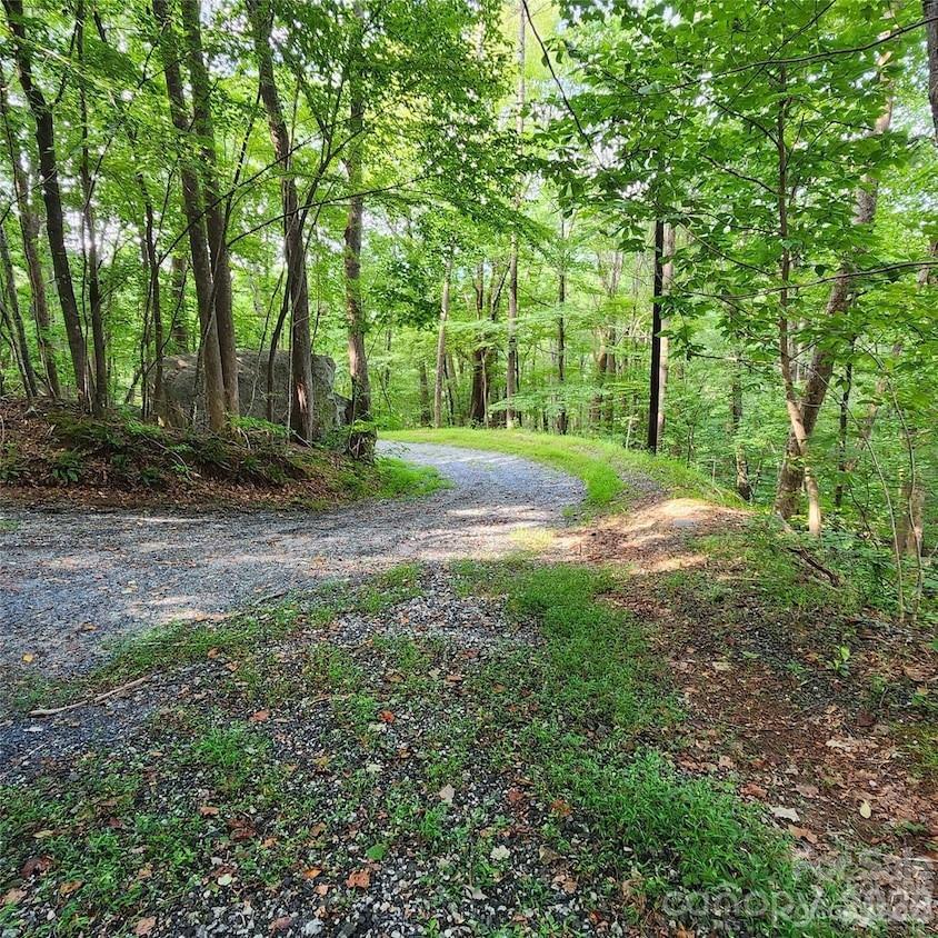 Switchback Rd., Lake Lure, NC 28746