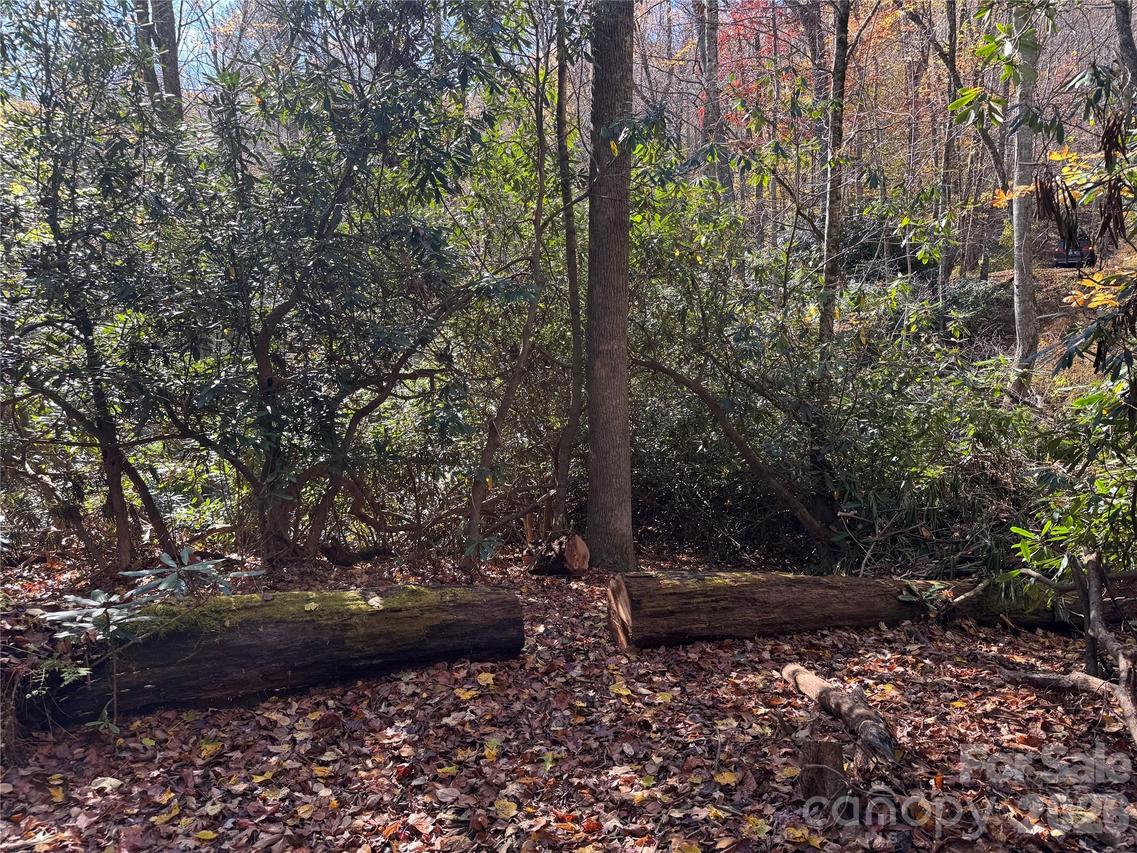 TBD Hews Cir. #8, Blowing Rock, NC 28605