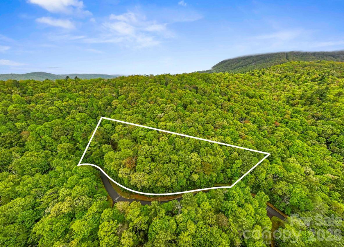 TBD Hickory Shaft Dr., Sapphire, NC 28774