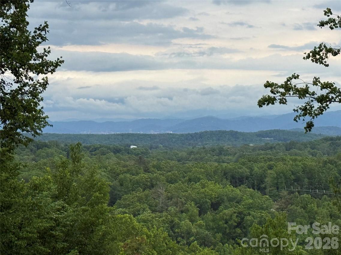 16 Ridge Pine Tr., Arden, NC 28704