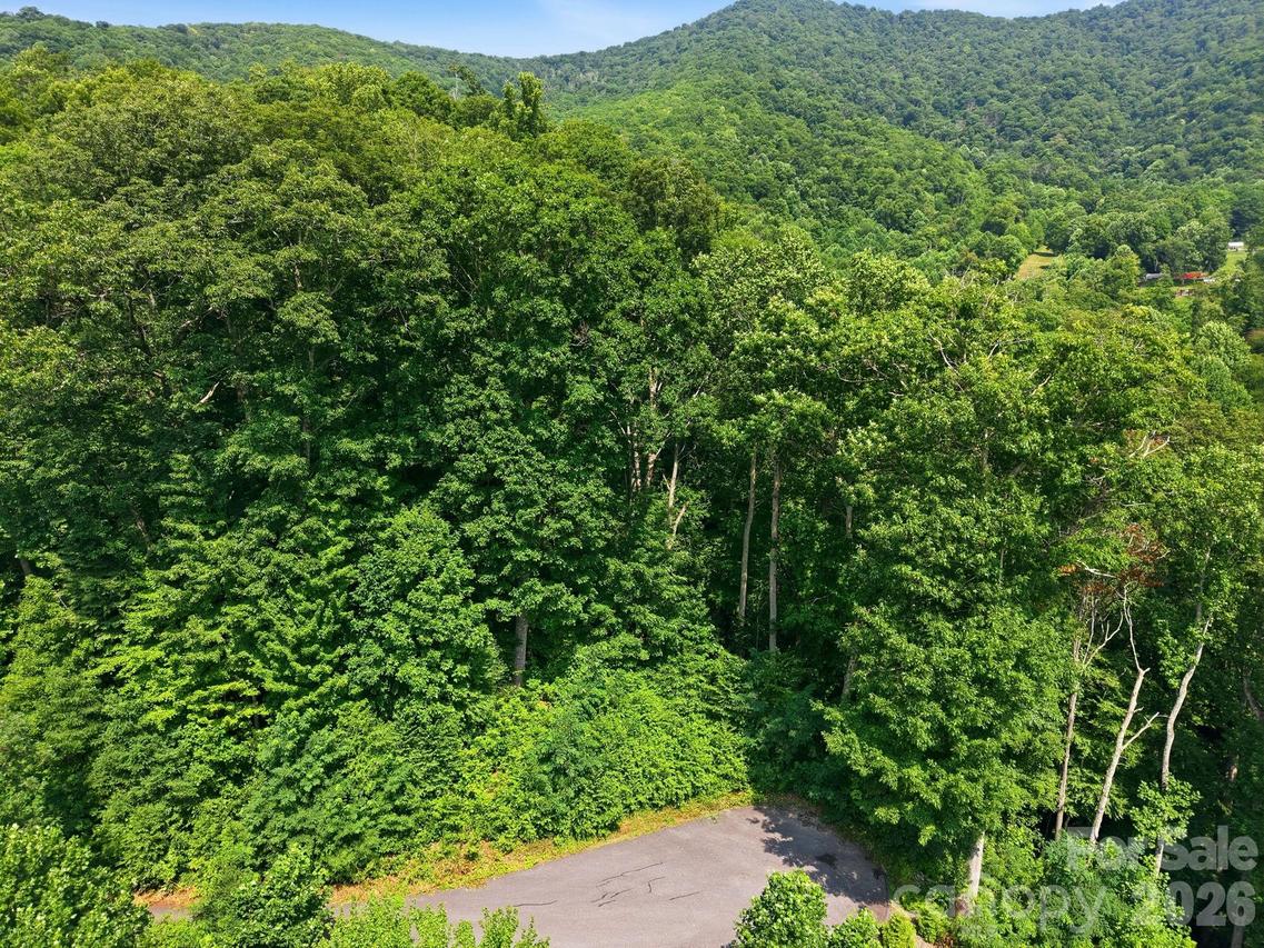 00 Triple Creek Dr. #43, Clyde, NC 28721